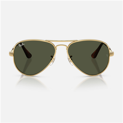 Ray-Ban RB 3925 001-3162 Unisex Güneş Gözlüğü