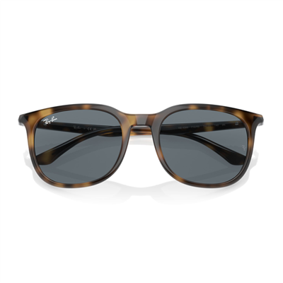 Ray-Ban RB 4386 710/R5 54 - Havana Unisex Güneş Gözlüğü