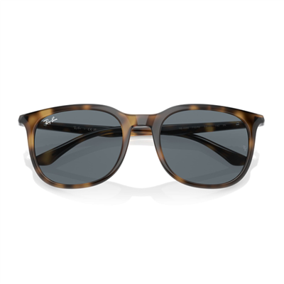 Ray-Ban RB 4386 710/R5 54 - Havana Unisex Güneş Gözlüğü