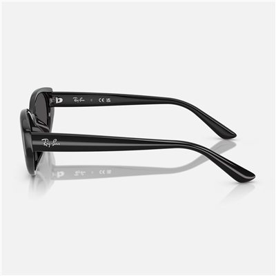 Ray-Ban RB 4457D 667787 55 - Siyah Unisex Güneş Gözlüğü