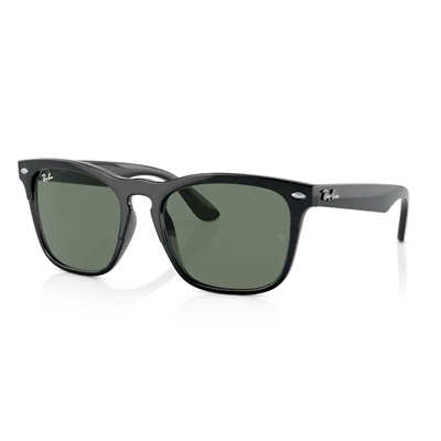Ray-Ban Steve RB 4487 662971 54 - Siyah Erkek Güneş Gözlüğü