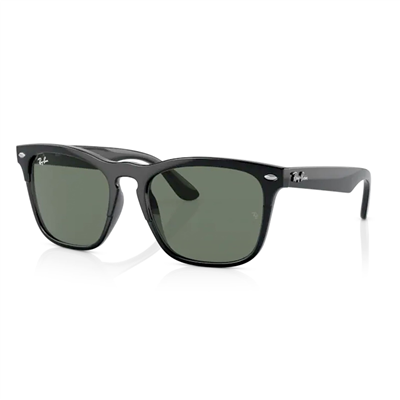 Ray-Ban Steve RB 4487 662971 54 - Siyah Erkek Güneş Gözlüğü