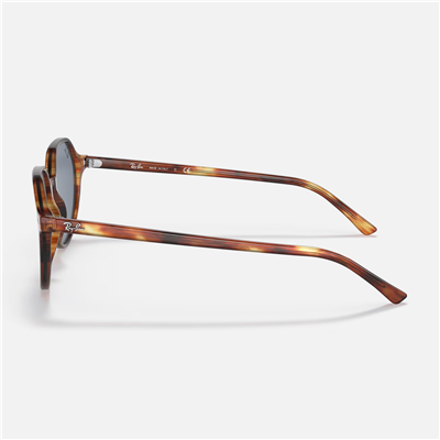 Ray-Ban Thalia RB 2195 954/62 53 Unisex Güneş Gözlüğü