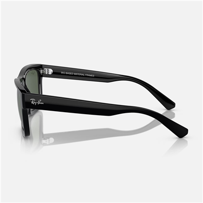 Ray-Ban Warren RB 4396 667771 54 - Siyah Unisex Güneş Gözlüğü