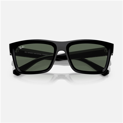 Ray-Ban Warren RB 4396 667771 54 - Siyah Unisex Güneş Gözlüğü