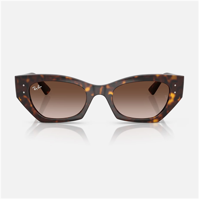Ray-Ban Zena RB 4430 135913 49 Unisex Güneş Gözlüğü