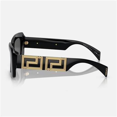 Versace VE 4444U GB1/87 54 - Siyah Kadın Güneş Gözlüğü