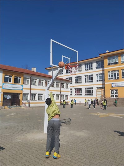 Basketbol Potası Bahçe Tipi Tek Direkli