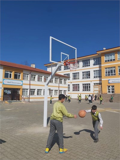 Basketbol Potası Bahçe Tipi Tek Direkli