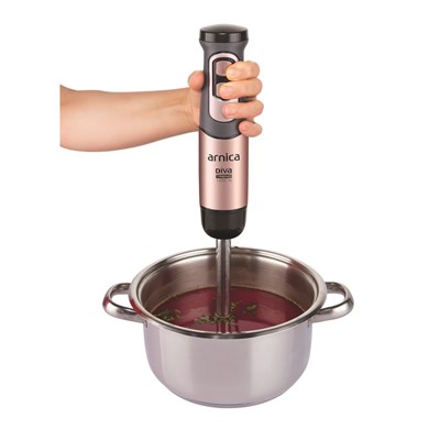 Arnica Diva Trend GH21593 Rose Blender Seti