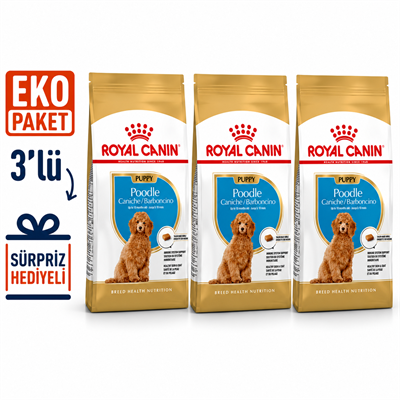 Royal Canin Poodle Junior Yavru Köpek Maması 3 Kg X 3'lü Eko Paket 