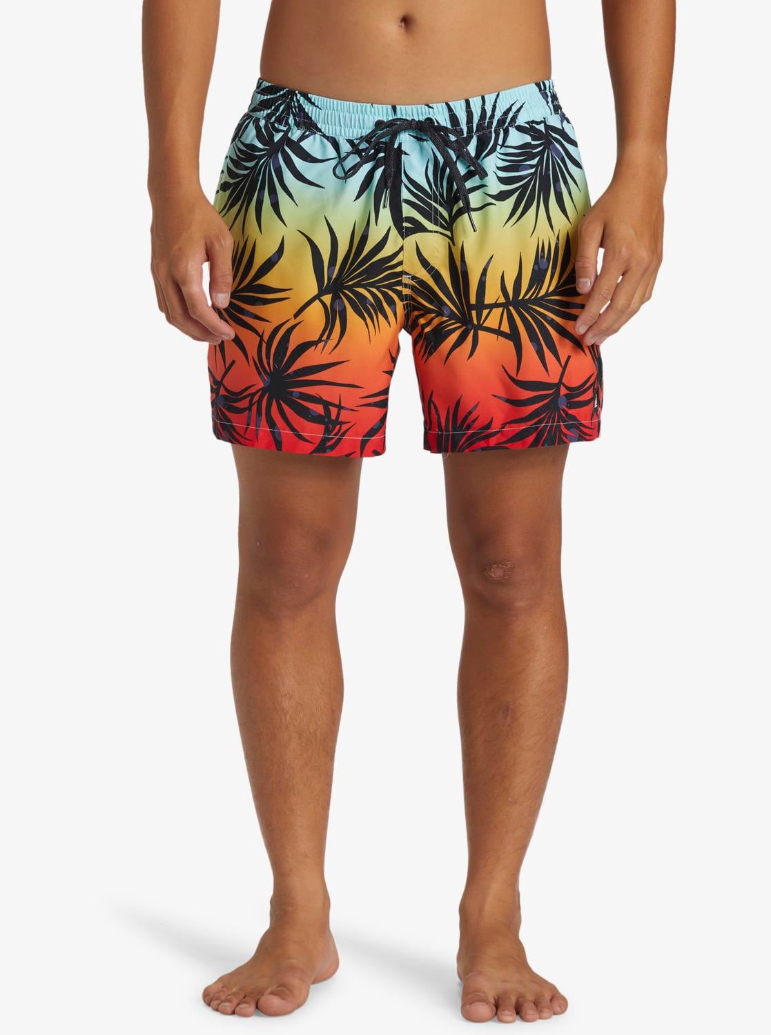 Quiksilver Everyday Mix Volley 15 Erkek Deniz Şortu - Multi