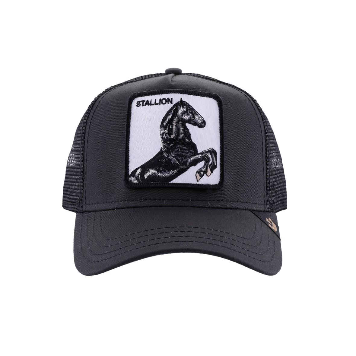 Goorin Bros Çocuk Şapka - Little Stallion