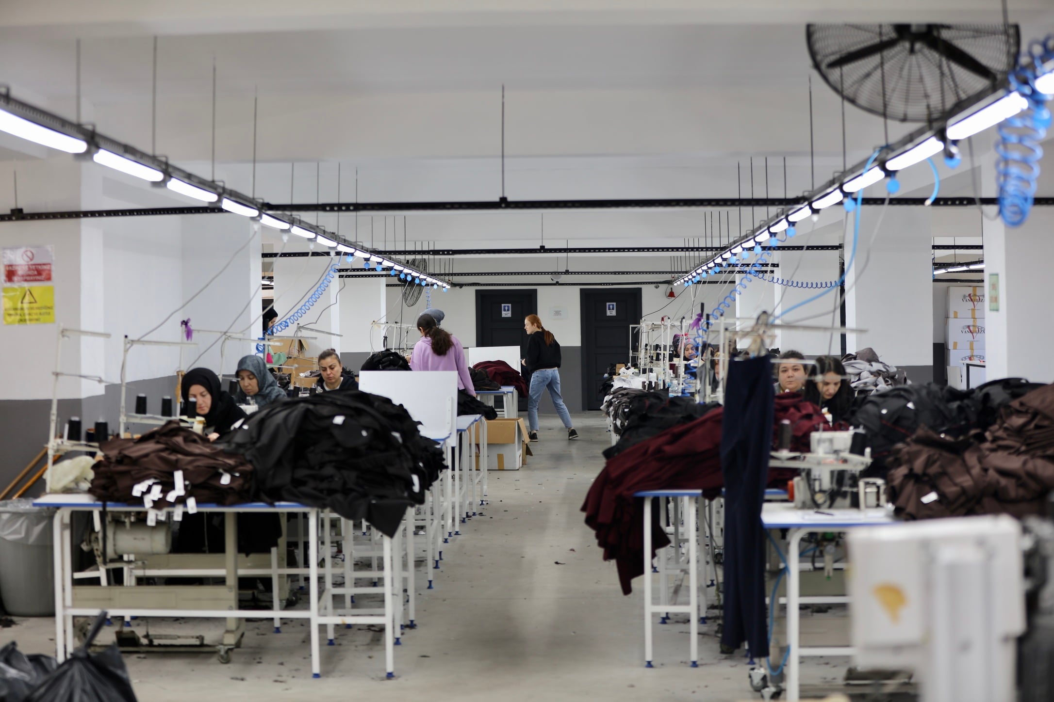 Vangeliza üretim ve koleksiyon çalışmaları