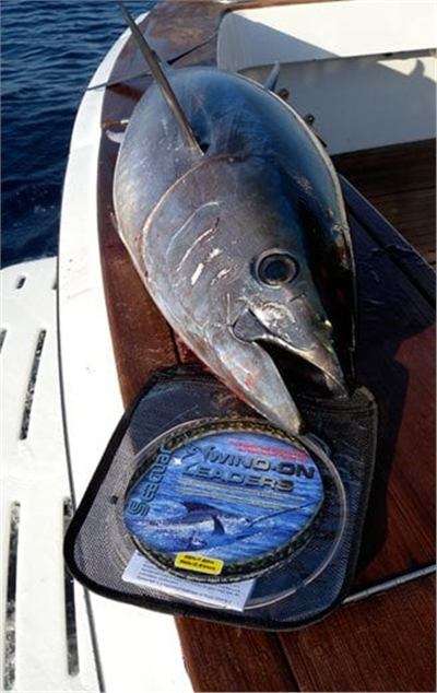 Wind-On Leader 200lb 1.38mm 7.62m
