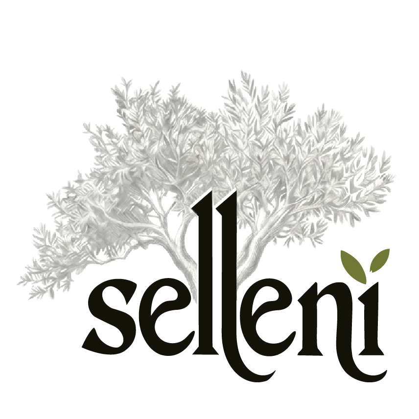 Selleni Zeytinyağı