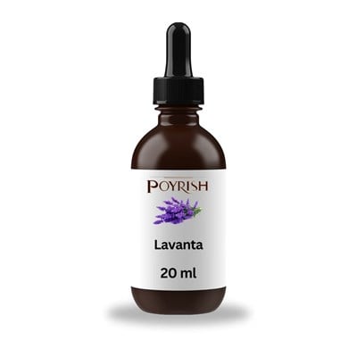 Lavanta Mum Esansı 20 ml.