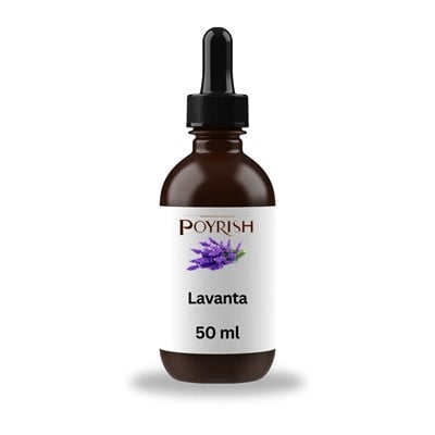 Lavanta Mum Esansı 50 ml.