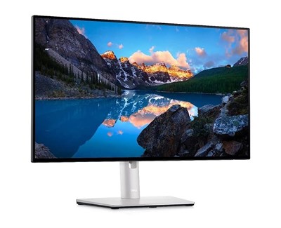 Dell Ultrasharp U2424HE 23.8 5m Type-C Pivot IPS