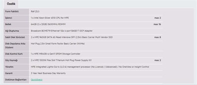 HPE DL380 Gen11 Silver 4510-64G-2x960G-2U (P71674)