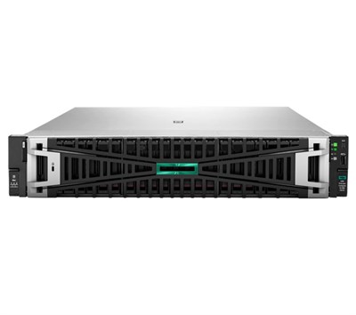 HPE DL380 Gen12 Xeon 6505P-64G-2x480G-2U (P89316)