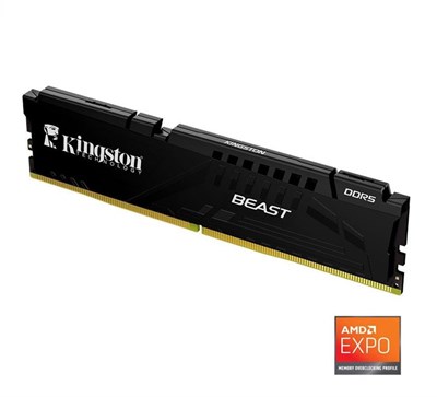 Kingston Beast 16GB 5600 DDR5 (KF556C36BBE-16TR)