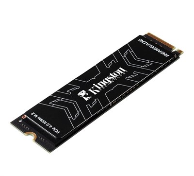 Kingston Renegade 1TB M.2 NVMe (7300-6000MB/s)