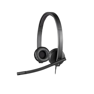 Logitech H570e Usb Stereo Kulaklık 981-000575