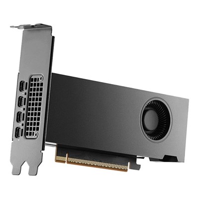 Pny Quadro RTX Pro 2000 16GB GD7 4mDp Çeviricisiz
