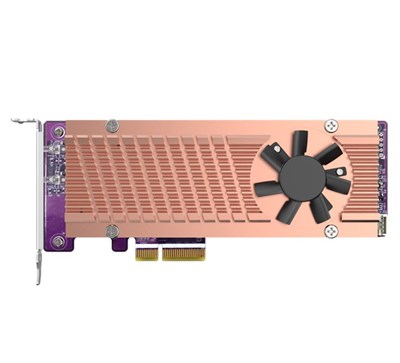 Qnap QM2-2P-244A Dual M.2 22110/2280 PCIe SSD Kart