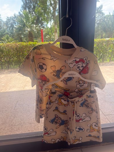 Paw-Patrol Takım