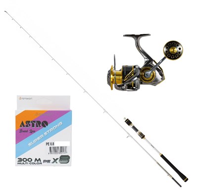 Daiwa New Megaforce 170cm 90-210 + Ryuji Ares X 6000 D Set