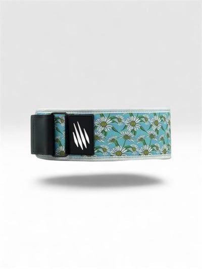 Apex Spring Belt