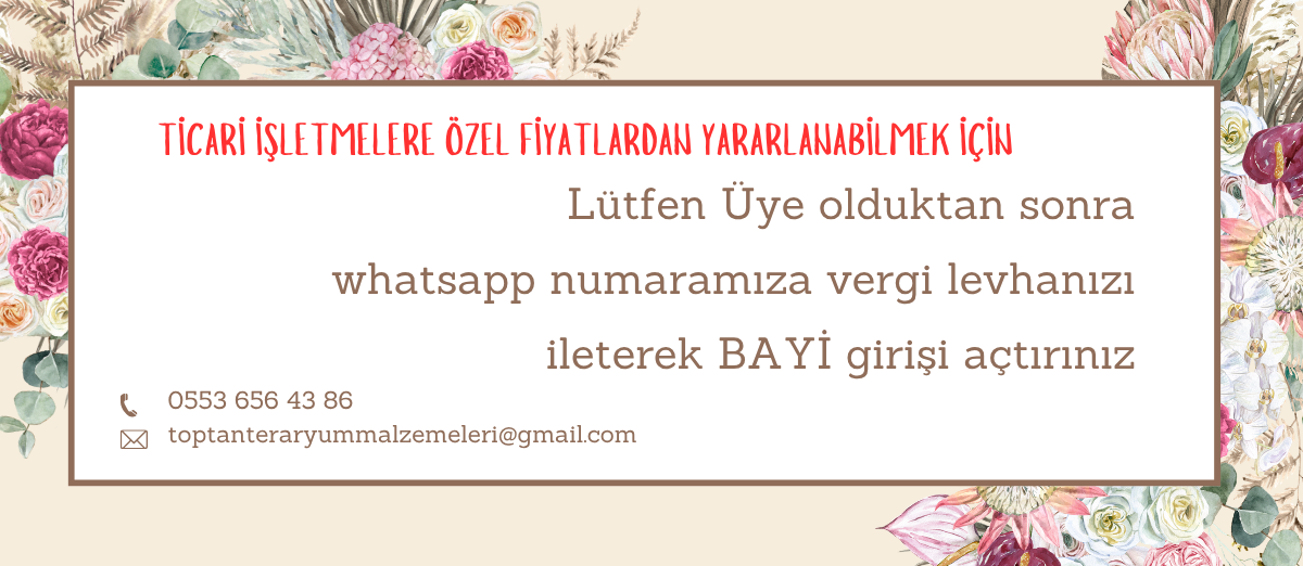 Bayi Girişi
