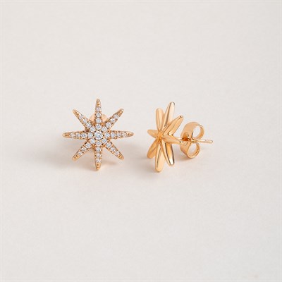 Brilliant Starburst Earrings