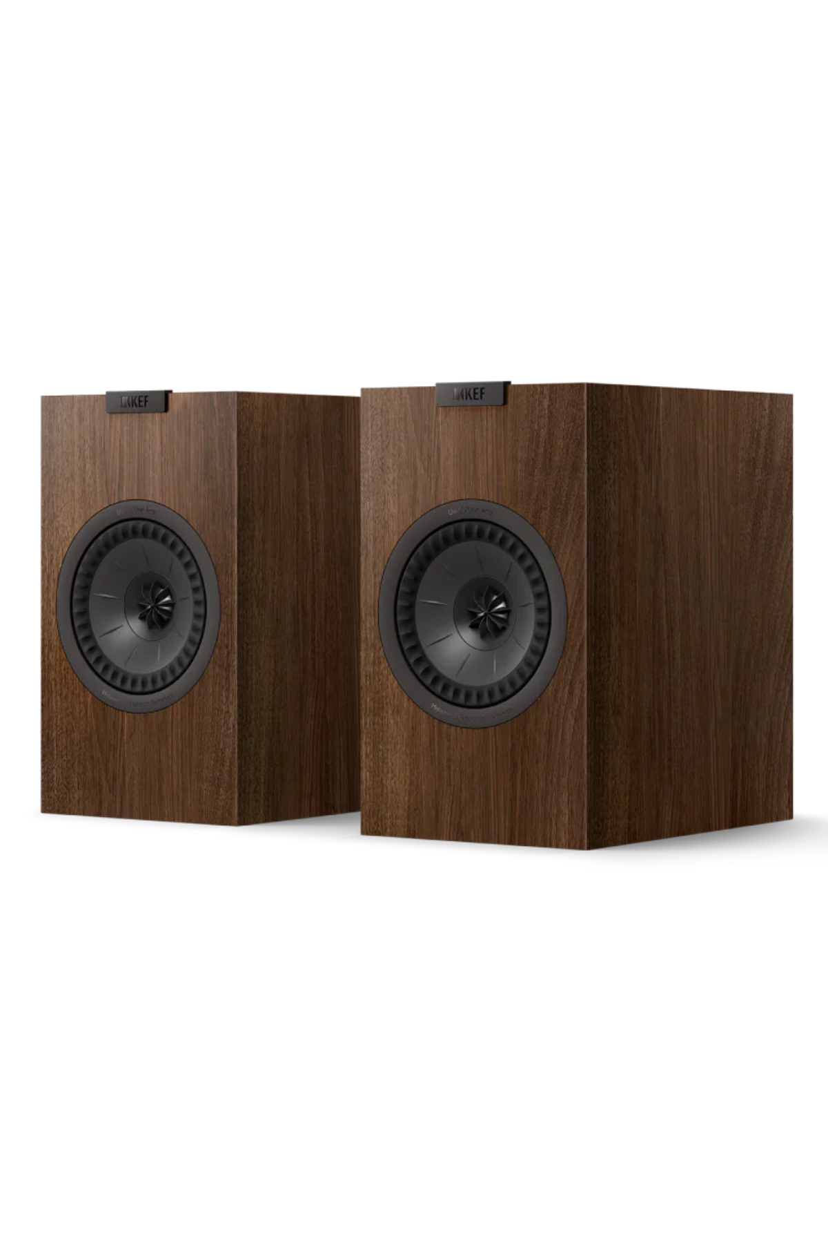 Kef Q1 Meta Hoparlör Ceviz