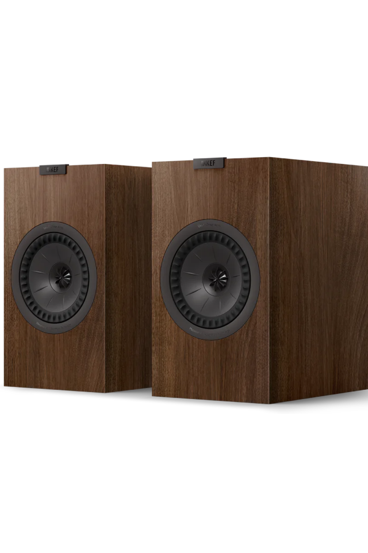 Kef Q3 Meta Hoparlör Ceviz