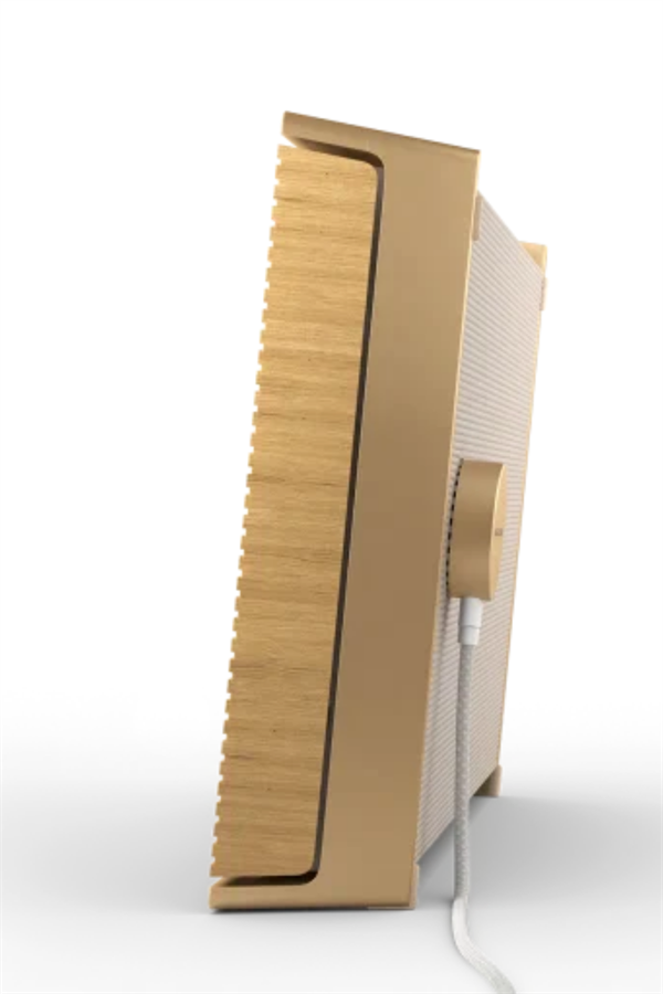 Bang & Olufsen Beosound Level ゴールドトーン Bang & Olufsen Beosound Level Gold Tone Taşınabilir Multiroom