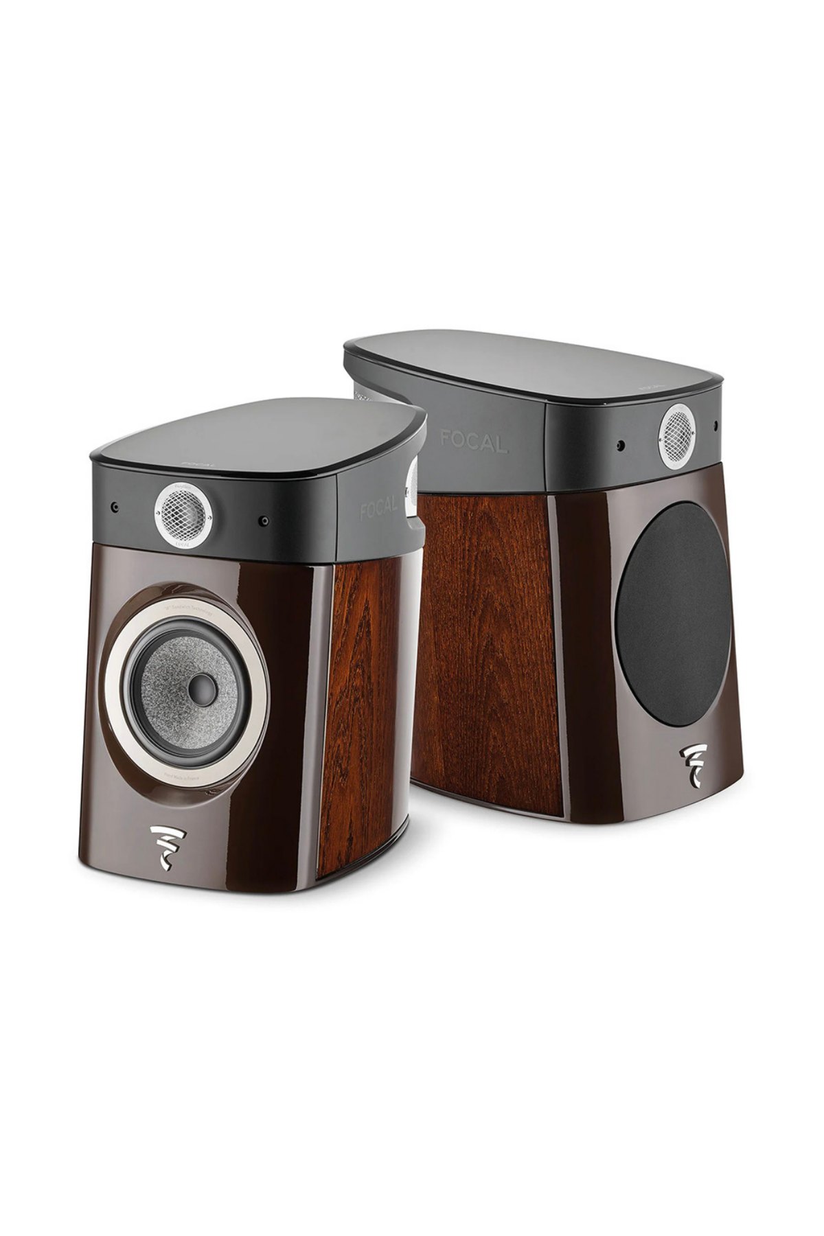 Focal Sopra No1 Hi-End Raf Tipi Hoparlör Macassar