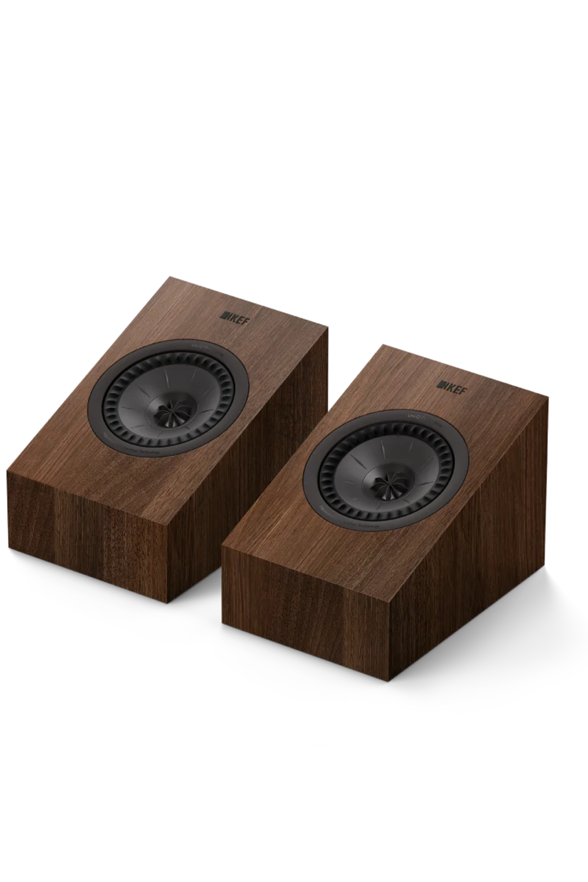 Kef Q8 Meta Dolby Atmos Hoparlör Ceviz