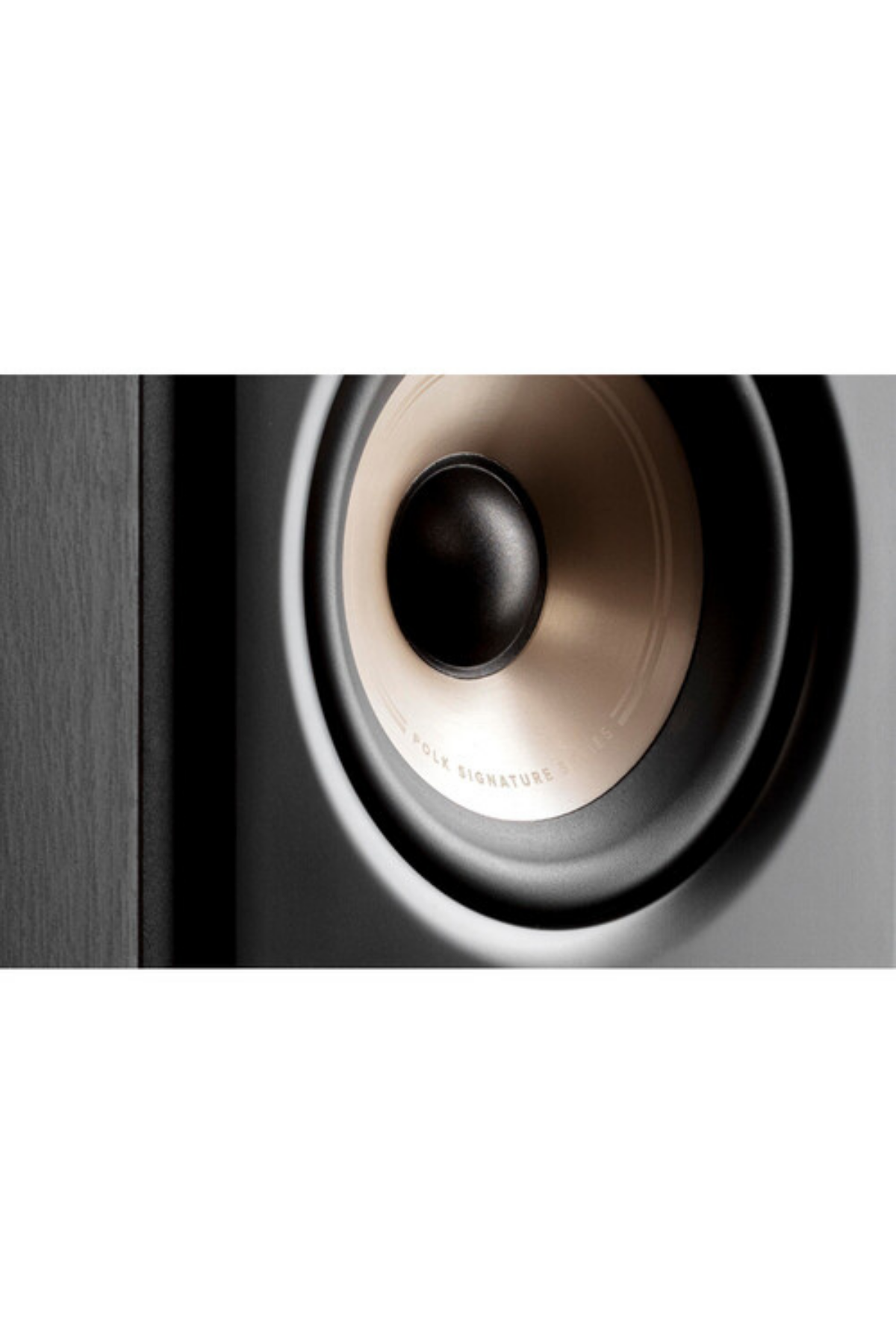 Polk Audio Signature Elite ES60 Siyah Hoparlör