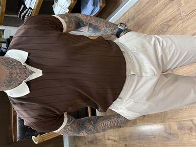 Classic Luxury kahverengi Polo Yaka