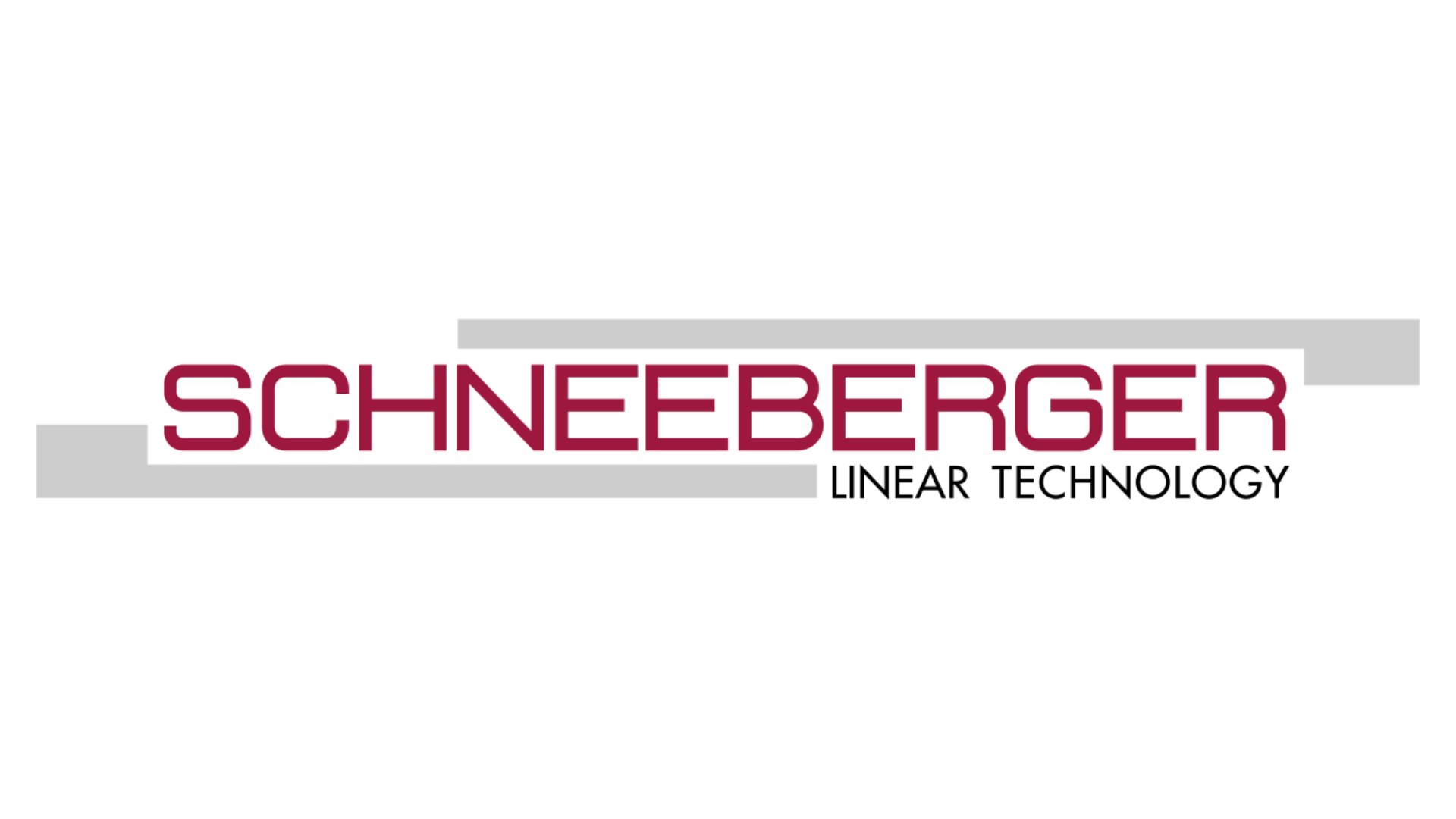 Schneeberger logosu