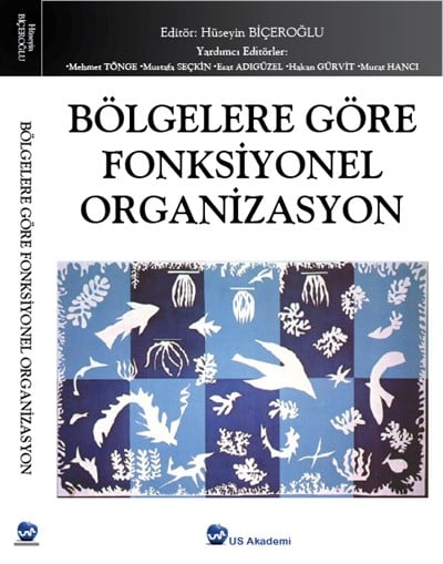 Bölgelere Göre Fonksiyonel Organizasyon