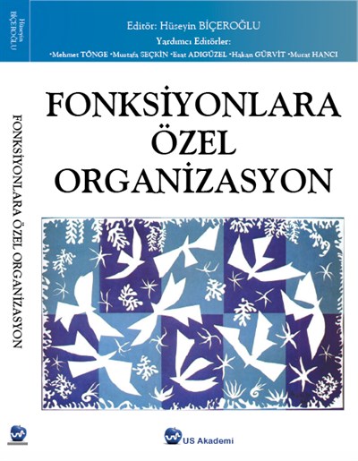 Fonksiyonlara Özel Organizasyon