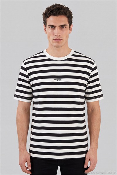 Çizgili Pamuklu Relaxed Fit Bisiklet Yaka Erkek T Shirt 5904078 SİYAH