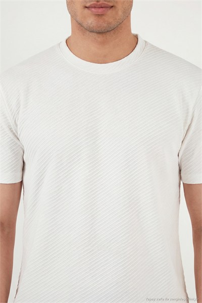 Pamuklu Bisiklet Yaka Kısa Kollu Erkek T Shirt 5904115 EKRU