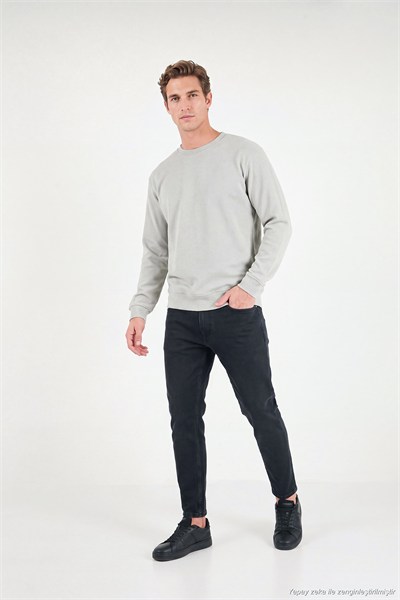 Pamuklu Regular Fit Bisiklet Yaka Erkek Sweat 5905965 Kül