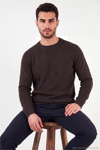 Pamuklu Regular Fit Bisiklet Yaka Erkek Kazak 7020263 KAHVE