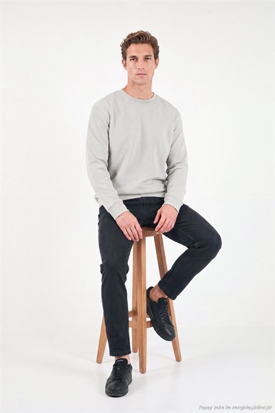 Pamuklu Regular Fit Bisiklet Yaka Erkek Sweat 5905965 Kül